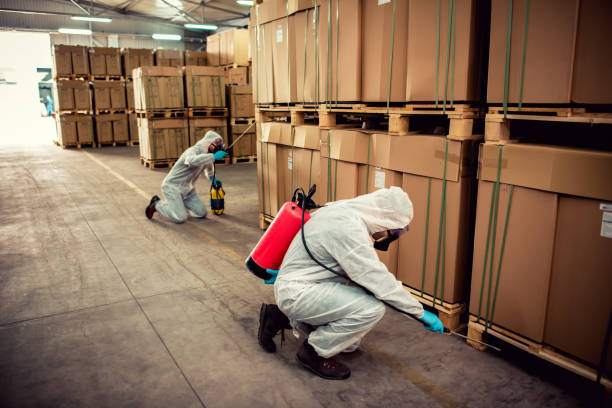 Best Flea Control Services  in Niagara University, NY