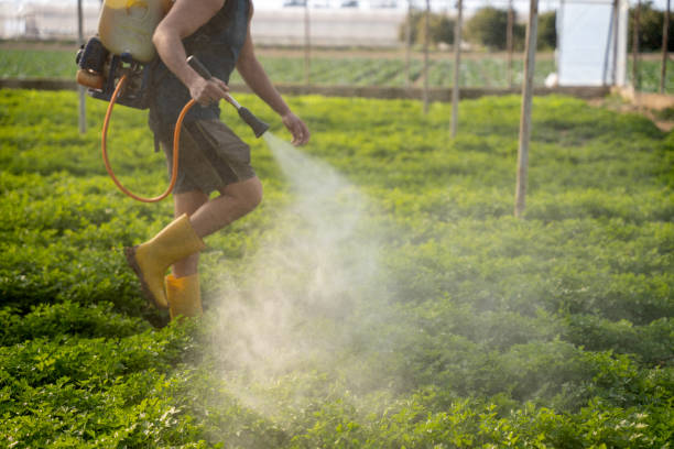 Best Mosquito Control Services  in Niagara University, NY