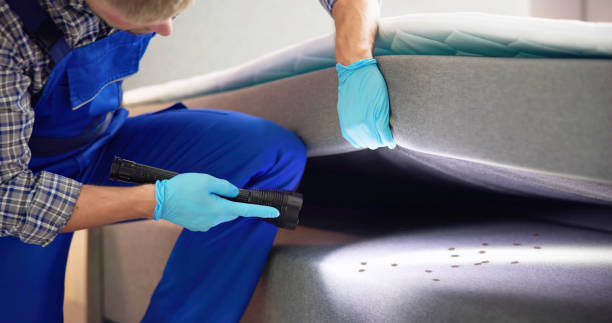 Best Cockroach Control Services  in Niagara University, NY