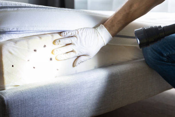 Best Pest Control for Businesses  in Niagara University, NY