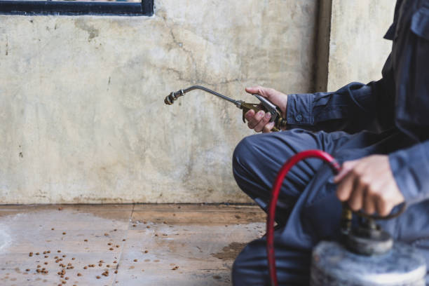 Best Exterminator Services  in Niagara University, NY