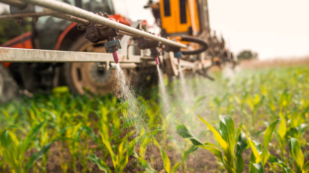 Best Commercial Pest Control Services  in Niagara University, NY