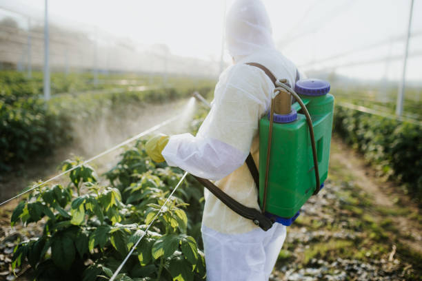 Best Mosquito Control Services  in Niagara University, NY